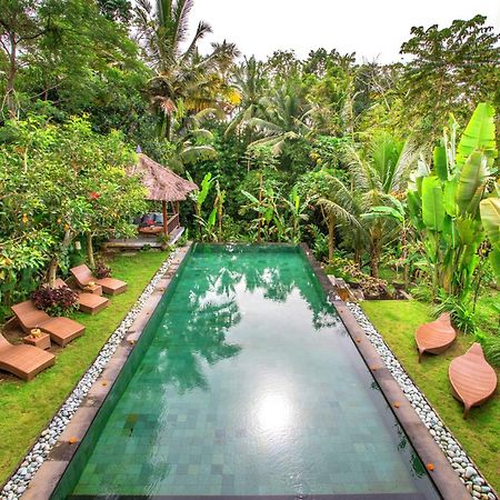 Villa Viola Ubud Kültér fotó