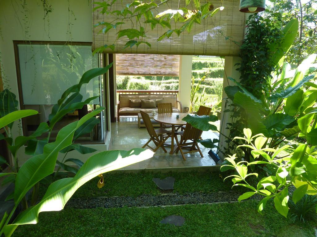 Villa Viola Ubud Kültér fotó