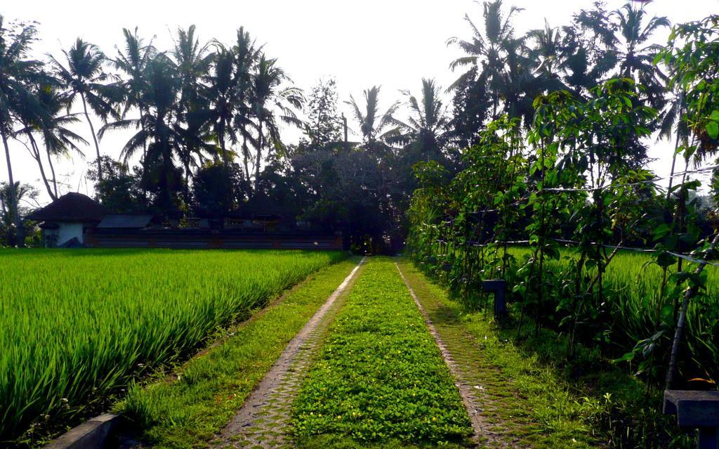 Villa Viola Ubud Kültér fotó