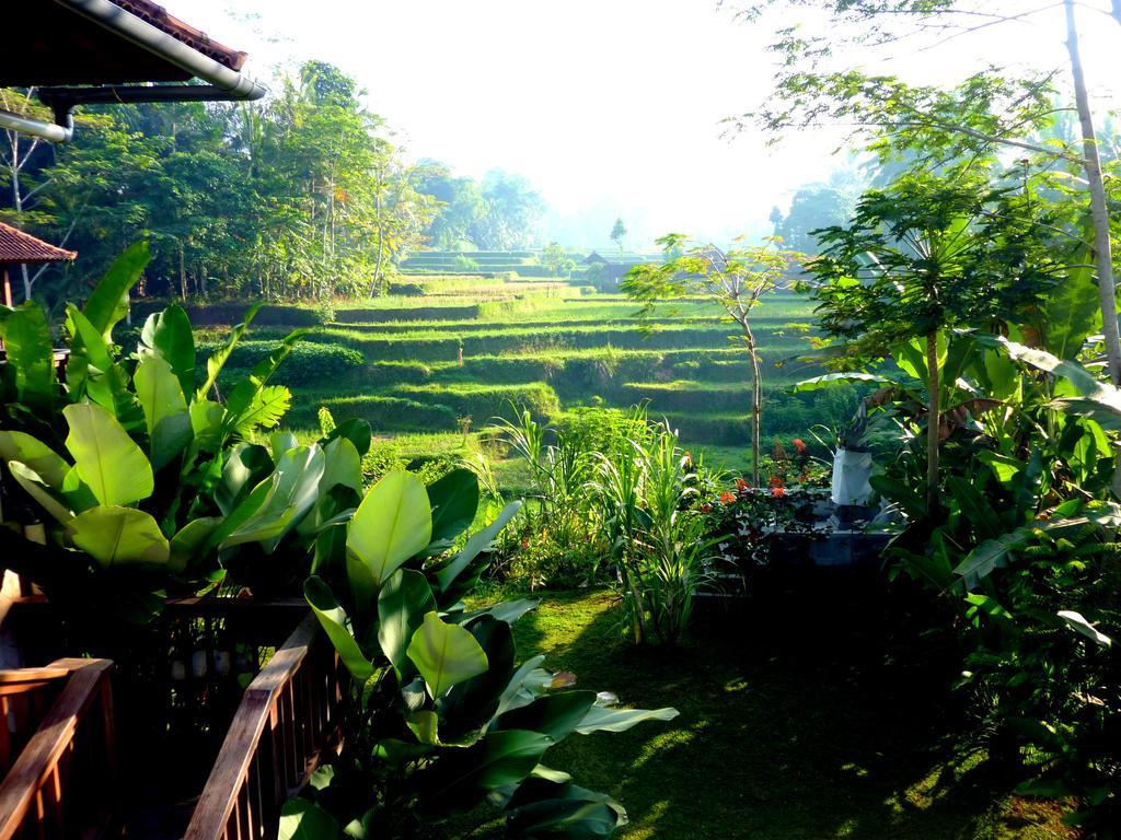 Villa Viola Ubud Kültér fotó