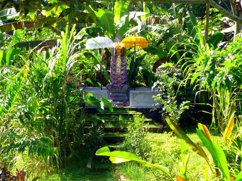 Villa Viola Ubud Kültér fotó