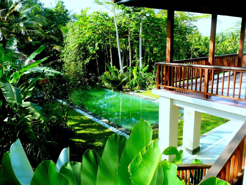 Villa Viola Ubud Kültér fotó
