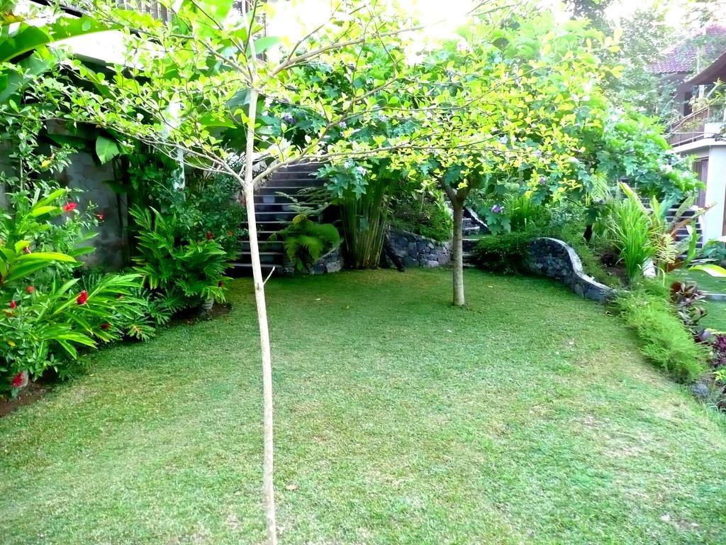 Villa Viola Ubud Kültér fotó