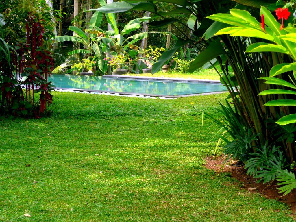 Villa Viola Ubud Kültér fotó