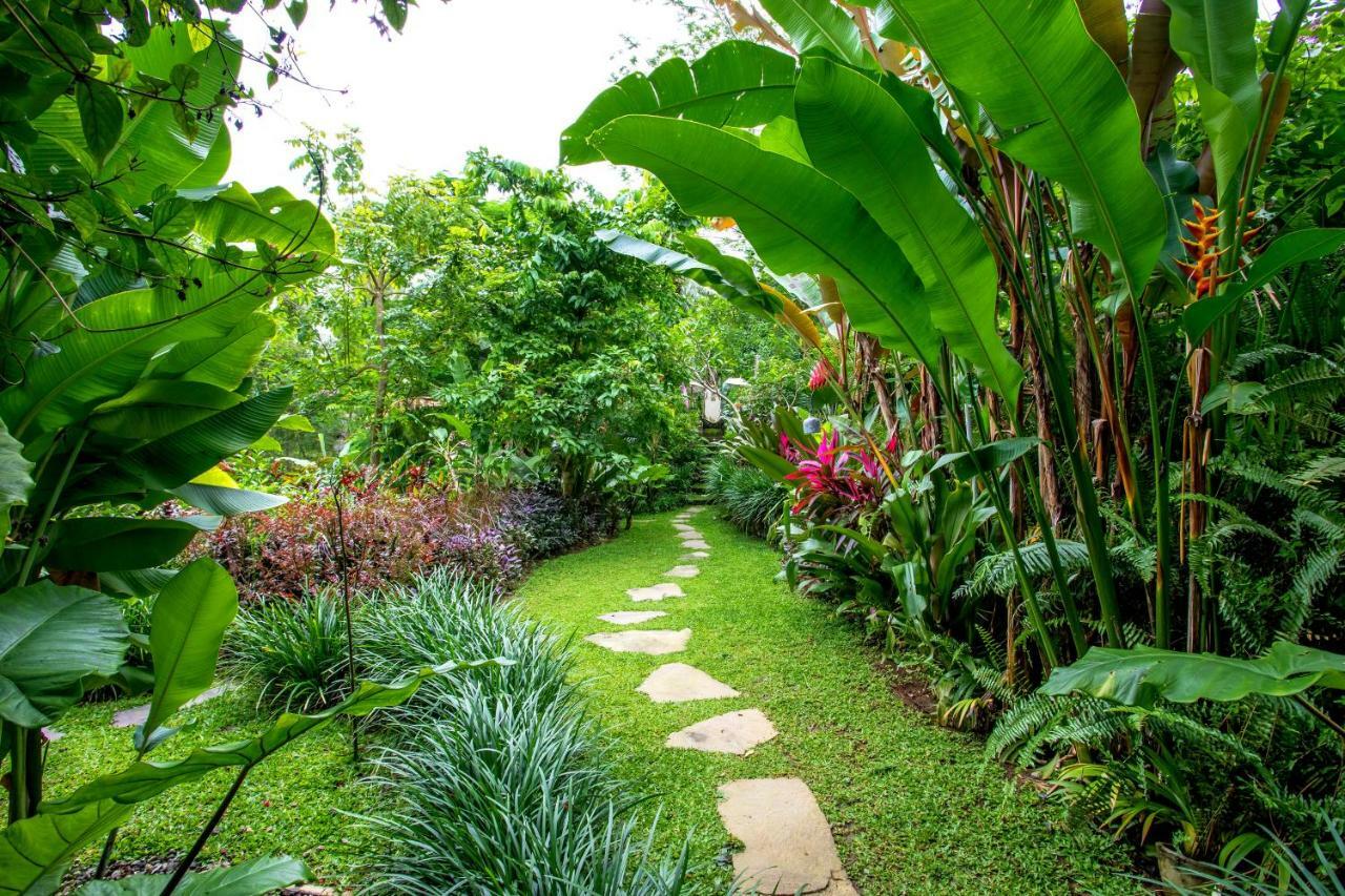 Villa Viola Ubud Kültér fotó
